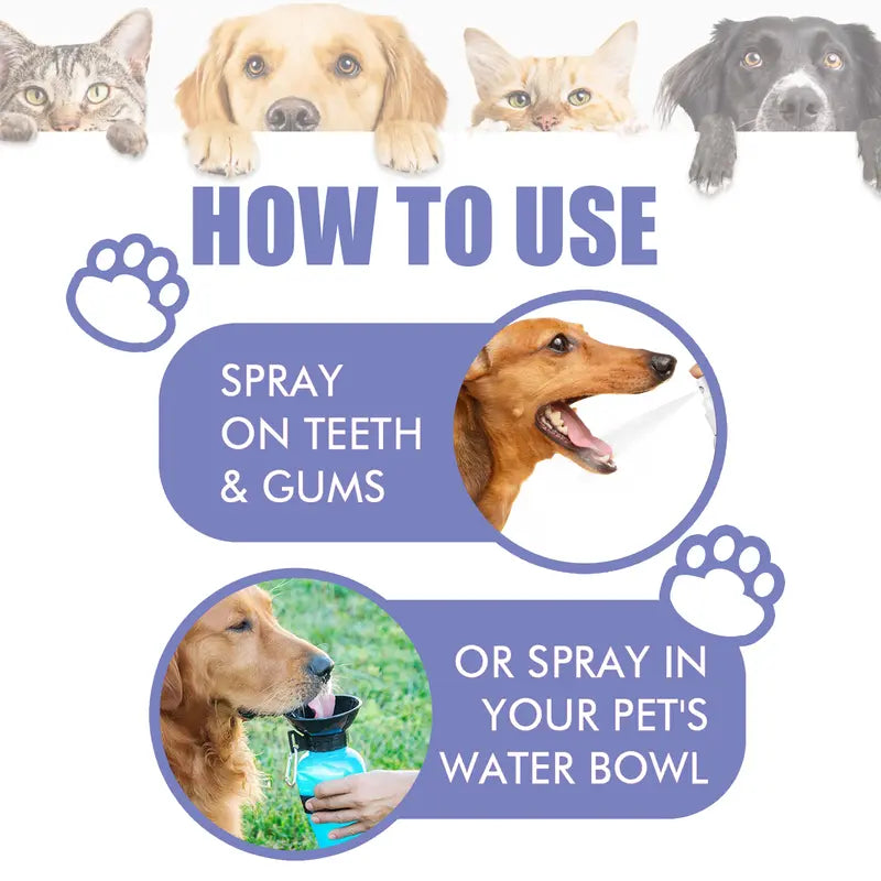 Pet Dental Care Spray – Fresh Breath & Easy Oral Care for Dogs & Cats 🐶🐱