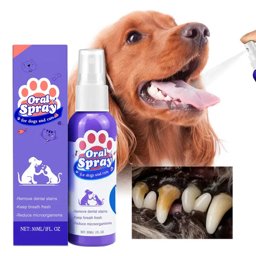 Pet Dental Care Spray – Fresh Breath & Easy Oral Care for Dogs & Cats 🐶🐱