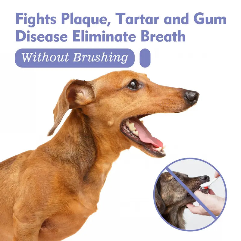 Pet Dental Care Spray – Fresh Breath & Easy Oral Care for Dogs & Cats 🐶🐱