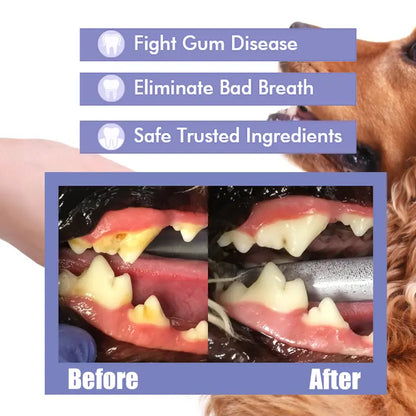 Pet Dental Care Spray – Fresh Breath & Easy Oral Care for Dogs & Cats 🐶🐱