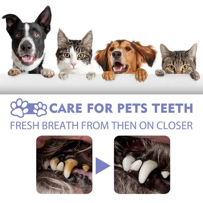 Pet Dental Care Spray – Fresh Breath & Easy Oral Care for Dogs & Cats 🐶🐱