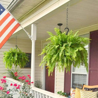 🔥 $9.9 On Sale Last Day 🌱 UV-Resistant Realistic Artificial Boston Fern